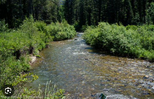 Next Hike:  Saturday, May 30